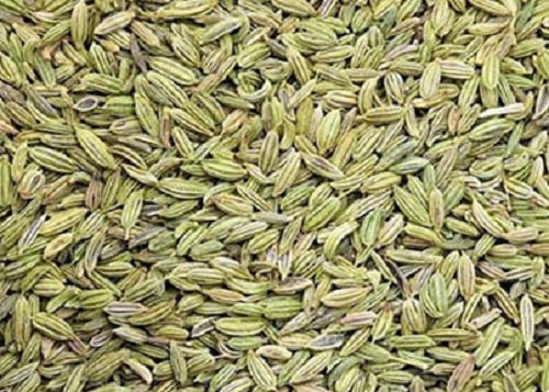 Dried Aniseed Taste Fennel Seeds For Cooking Use