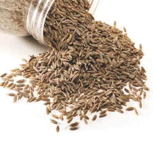Free From Impurities Easy To Digest 16% Moisture Cumin Seeds