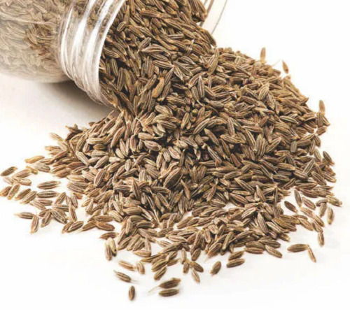 Free From Impurities Easy To Digest 16% Moisture Cumin Seeds Admixture (%): 1