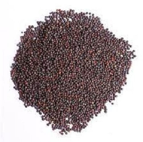 Healthy And Nutritious Rich In Vitamins Mustard Seeds