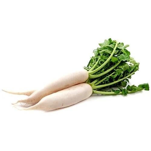 Pure And Natural Whole Raw Fresh Radish With Leaves