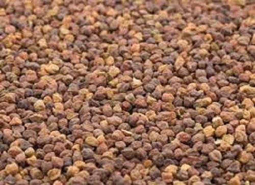 A Grade 100 Percent Purity Common Cultivated Indian Origin Edible Whole Chickpeas