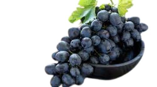 Common Farm Fresh Sweet Black Grapes