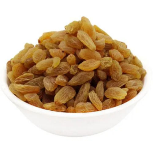 Pure And Dried Commonly Cultivated Glutinous Sweet Raisin