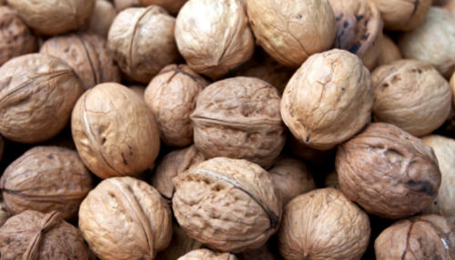 Rich In Protein Mild Fruity And Earthy Taste Walnuts