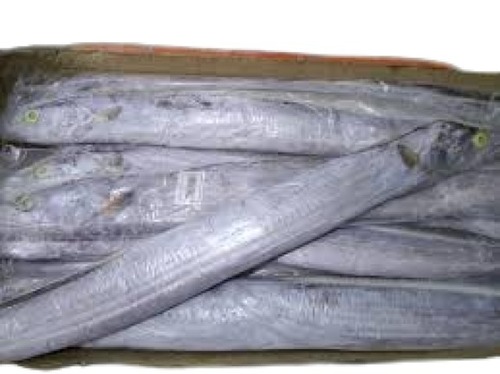 Piece Fresh Whole Ribbon Fish