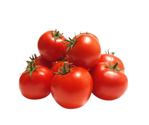 Round Pure And Natural Fresh Tomato With Five Days Shelf Life  Moisture (%): 94%