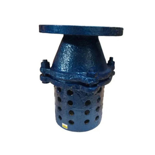 50 Mm Water Media Color Coated Cast Iron Foot Valve Industrial Use 