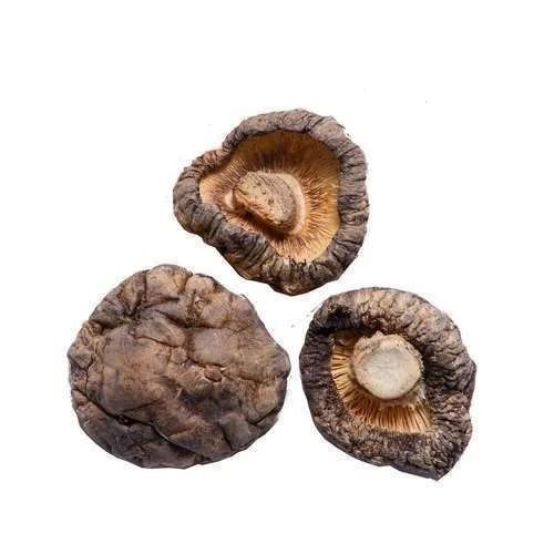 Brown Common Cultivated Dried Mushroom With Tough Texture 