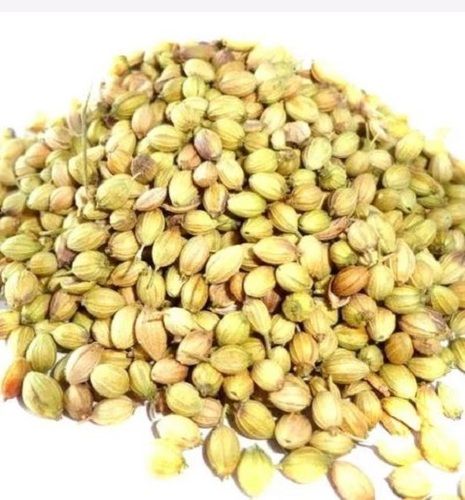 Dried Natural And Pure Raw Commonly Cultivated Coriander Seeds