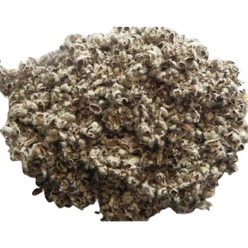 Organic Cotton Seed Hull With One Year Self Life And 44 % Fiber  Admixture (%): 00