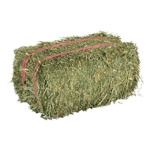 Alfalfa Hay For Animal Use