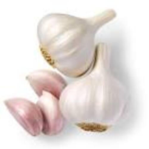 White Garlic For Cooking Multiple Dishes Use