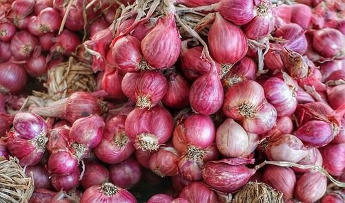 99% Maturity Round Shape Red Onion For Cooking Use
