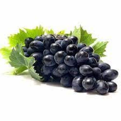 Common Cultivated Indian Origin A Grade 100 Percent Pure Natural Fresh Sweet Black Grapes Fruit