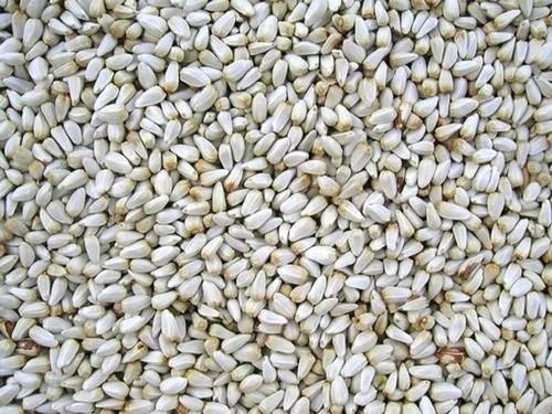 White Common Cultivated Pure And Natural Dried Raw Safflower Seed