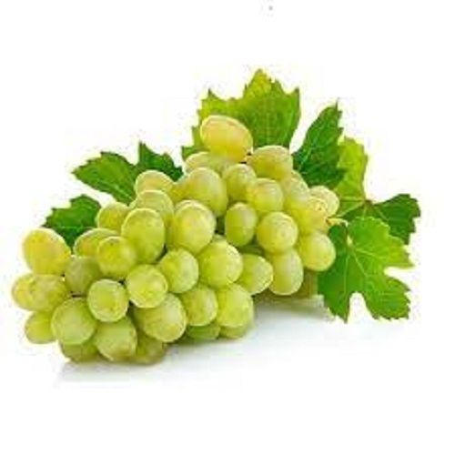 Common Cultivated Indian Origin A Grade 100 Percent Pure Natural Fresh Sweet Green Grapes Fruit