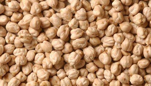 Cream High In Protein Natural Dried Chickpeas For Cooking Use