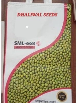 moong seeds