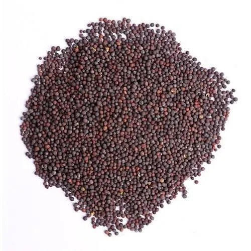 Natural And Pure Commonly Cultivated Oil Black Mustard Seed For Cooking Admixture (%): 0.6 %