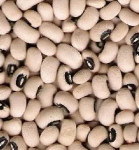 Rich In Taste Smooth Texture Organic Soybean Admixture (%): 0.1%