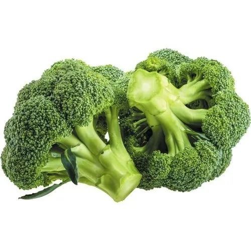 Pure And Natural Nutritious Fresh Raw Broccoli For Cooking 