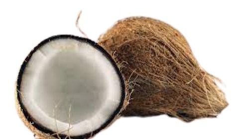 Common Round Shape Brown Whole Fresh Coconut