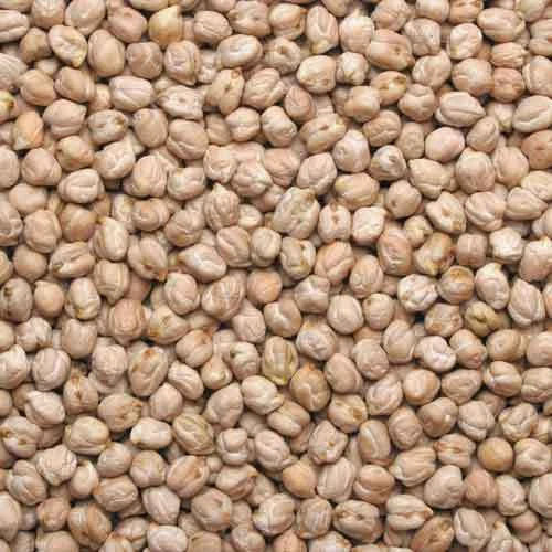 Commonly Cultivated Pure And Dried Kabuli Chana