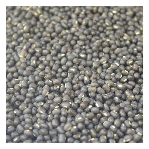 Commonly Cultivated Pure And Dried Urad Saboot Dal Admixture (%): 0.5%