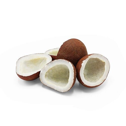 High In Protein Organic Dry Coconut For Religious Use