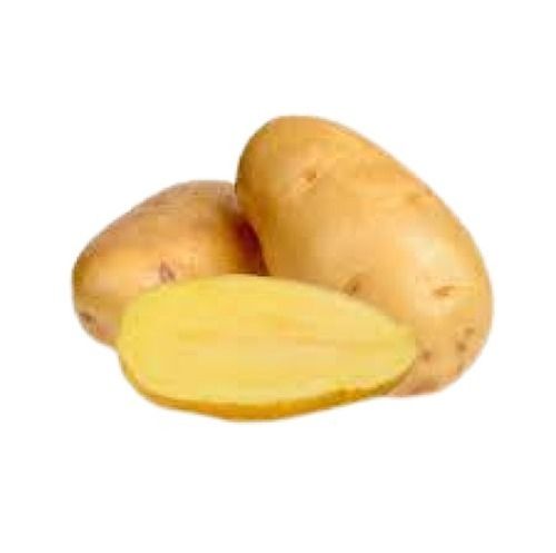 100 Percent Organic And Farm Fresh Oval Shape Brown Raw Potato