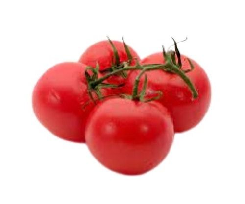 100 Percent Pure And Organic Farm Fresh Round Shape Red Tomatoes