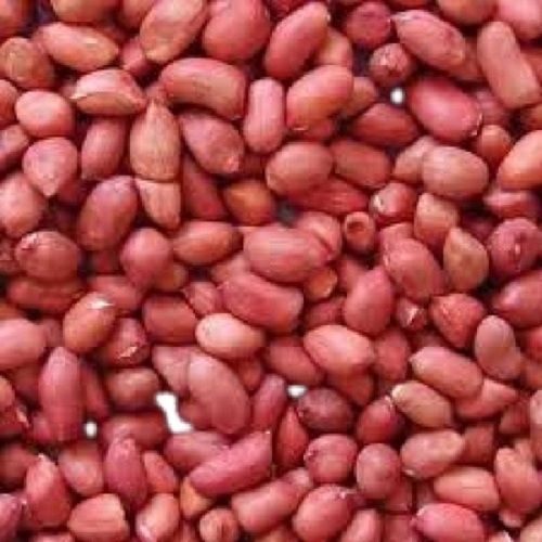 100 Percent Pure And Organic Healthy A Grade Groundnut Seeds