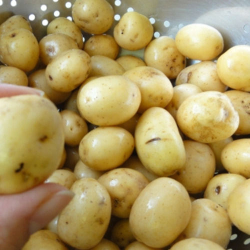 Natural and Fresh Irish Potatoes