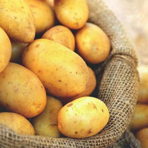 Natural Fresh Irish Potatoes