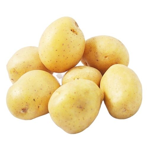 New Crop Fresh Egypt Potatoes