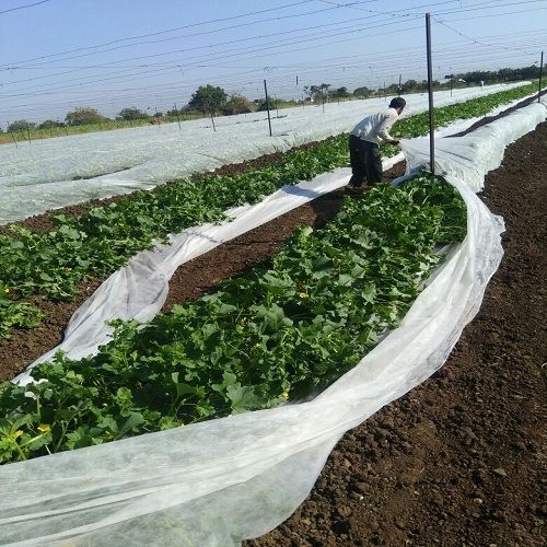 Pure Virgin 100% PP White Agricultural Non Woven Fabric Covers For Crop Cover