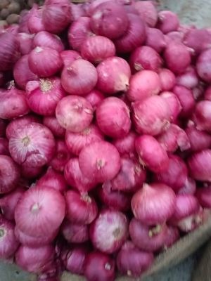 red onion