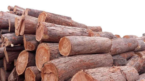 12 Inch Thick Round Termite Proof Eco Friendly Neem Wood Logs  Density: 499.80 Kilogram Per Cubic Meter (Kg/M3)