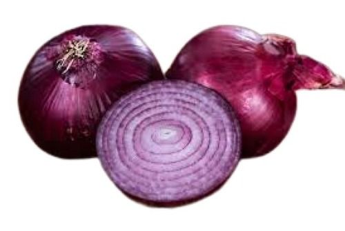 A-Grade Healthy Nutritious Naturally Grown Round Raw Onion For Cooking  Preserving Compound: Dry And Cooling