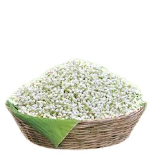 Star Shape Fresh Naturally Grown Fragrant Beautiful Jasmine Flower For Decoration 