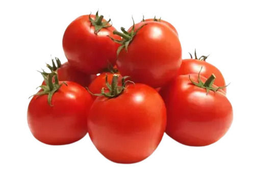 5% Moisture Round Fresh Tomato With 4 Days Shelf Life 