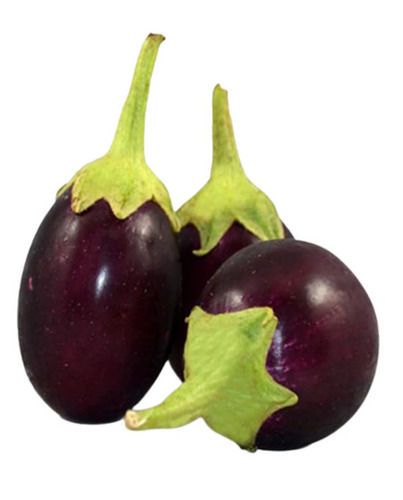 Oval 63% Moisture Seasoned Fresh Brinjal With 4 Days Shelf Life