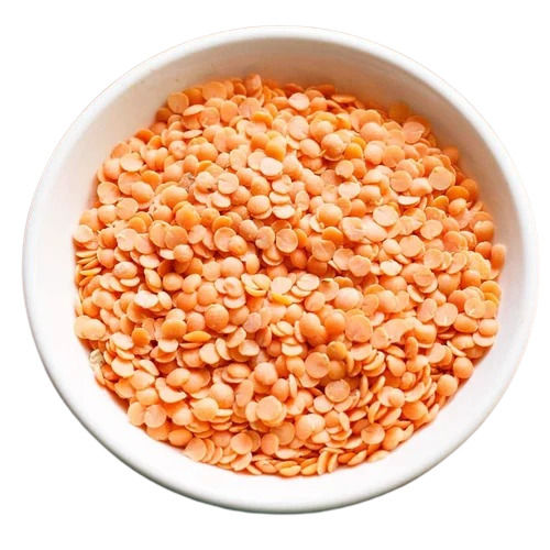 99% Pure Commonly Cultivated Masoor Dal For Cooking Use 