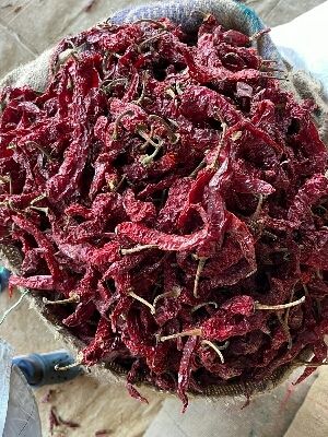 Fresh Gluten Free Spicy Dry Red Chilli