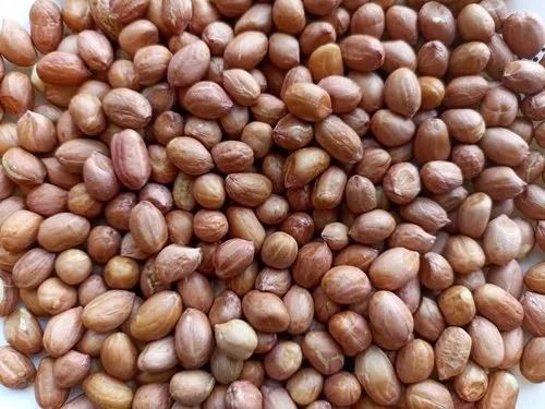 Pure And Dried Raw Commonly Cultivation Groundnut Kernels Broken (%): 1 %