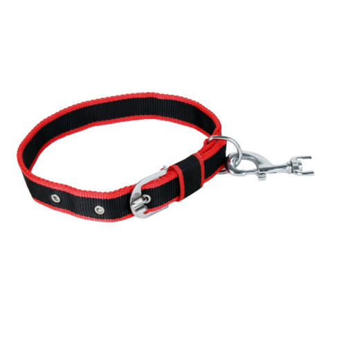 10 Inches X 2 Inches Wide Lightweight Steel And Nylon Adjustable Pet Collar Application: Dog