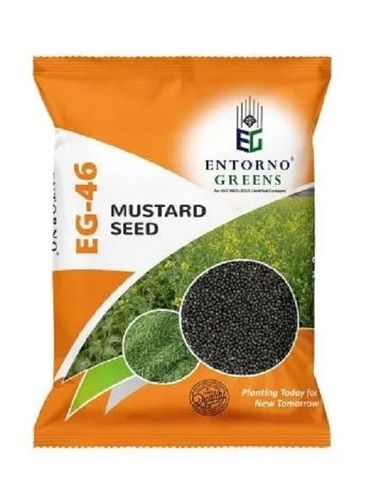 2 % Moisture 1 KG Black Mustard Seeds