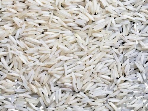 Indian Origin Common Cultivated Non-Sticky Long Grain Biryani Rice 