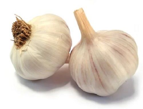 10% Moisture Raw Fresh Garlic For Cooking Use